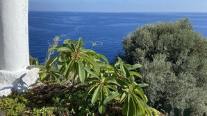 Blick auf die Küste mit einem weißen Gebäude, üppiger Vegetation und dem Meer.