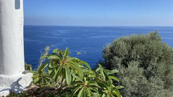 Villa, 1 Bedroom, Smoking, Terrace | Kawasan hartanah