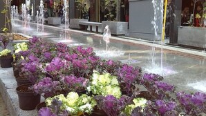 Una plaza pública con varias fuentes y plantas en macetas.