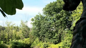 Une statue d’un ours, placée près d’un étang, entourée d’arbres, sous un ciel dégagé.