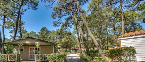 A campground with cabins, a covered picnic area, and a gravel path.