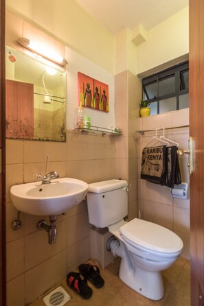 Combined shower/tub - GREY BUDGET SUITE  (Nairobi)