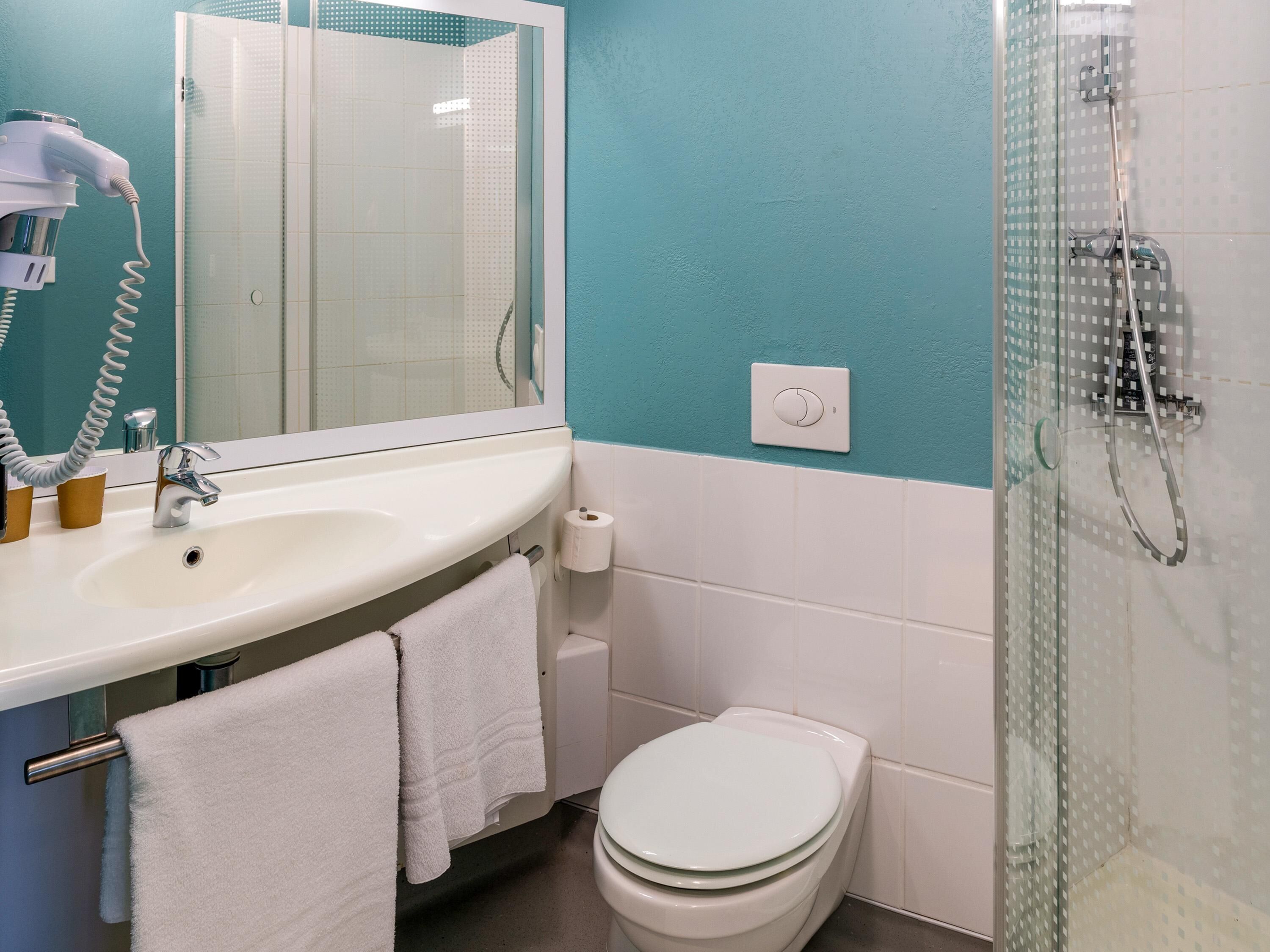 Une salle de bain équipée d’un lavabo, d’un miroir, d’un porte-serviettes, de toilettes et d’une douche.