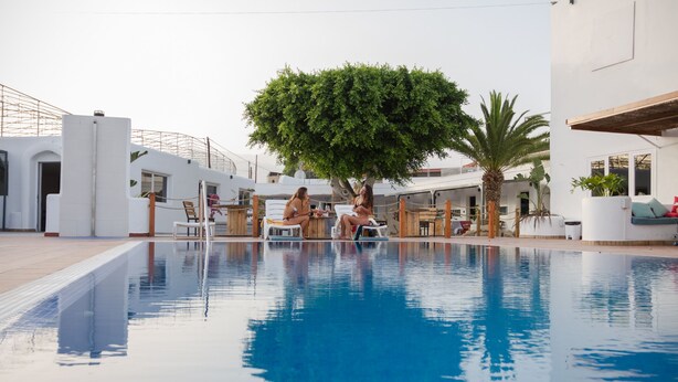 A swimming pool with lounge chairs and a tree in the center. - The Tree House Hostel (Granadilla de Abona)