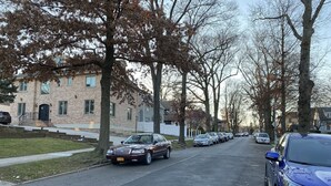 Una strada residenziale fiancheggiata da alberi e automobili parcheggiate.
