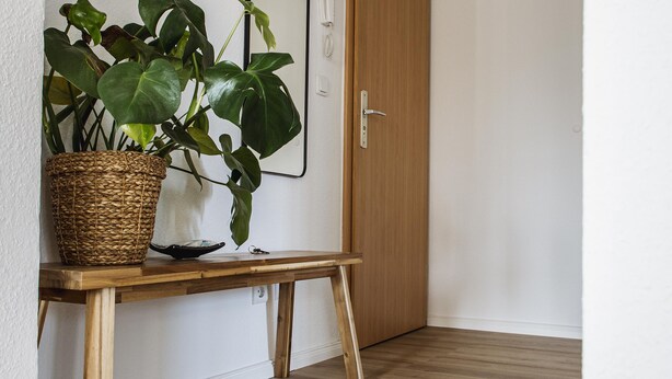 Um corredor com piso de madeira, tapete tecido, planta em vaso, espelho e uma porta.