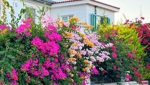 Exterior - Alacati XL Luxury (Çeşme)