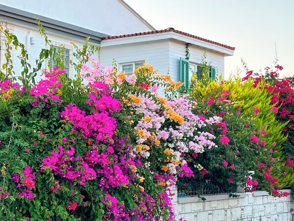 Exterior - Alacati XL Luxury (Çeşme)