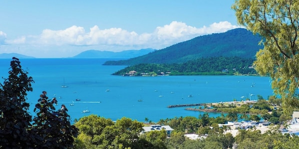 A coastal view with boats, a pier, and a forested hill.