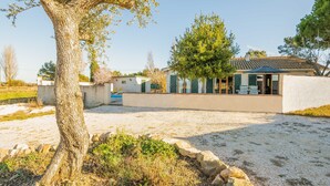 Une maison moderne avec un grand arbre au premier plan, une piscine et un espace patio.