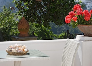 A table with a basket of seashells, a potted plant with red flowers, and a view of lush greenery and a mountain in the background.