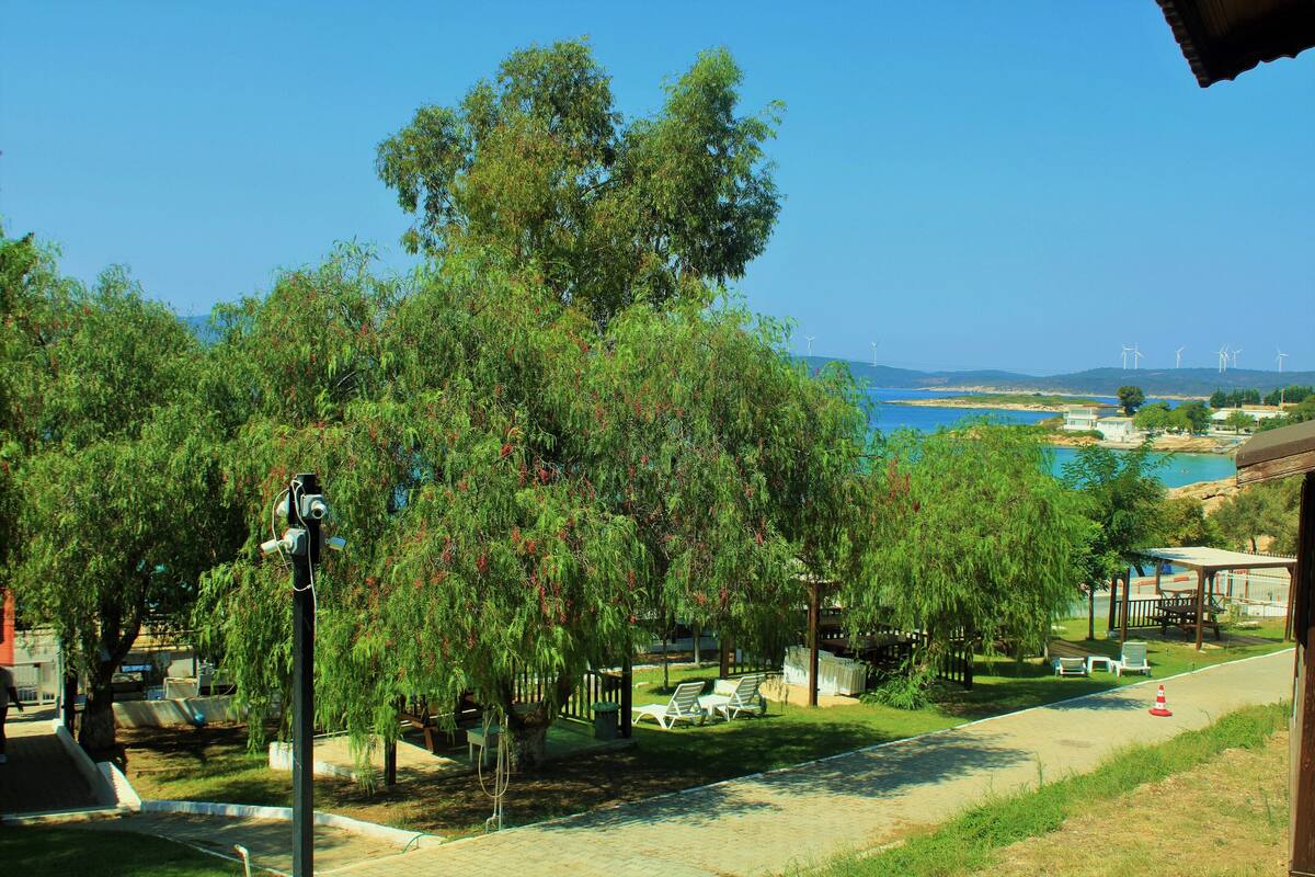 A coastal view with a pathway, seating area, and wind turbines in the distance.