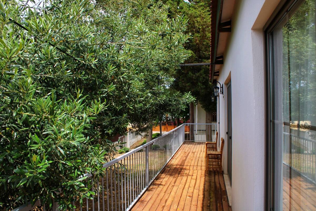 A wooden deck with a metal railing, a glass door, and a view of a lush green tree.