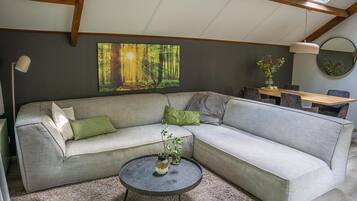 Een televisie en een open haard