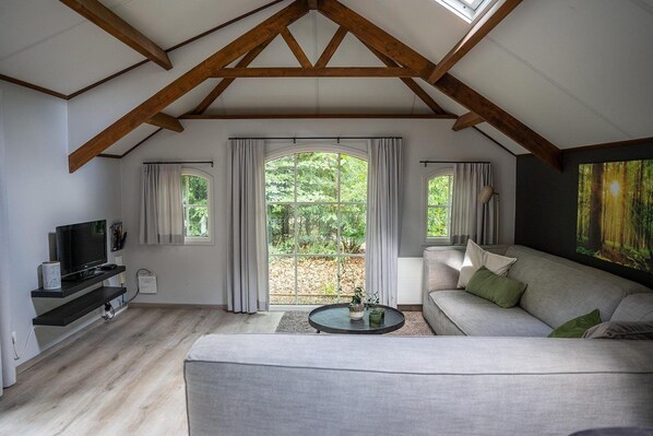 Televisión y chimenea 