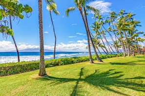 Tropische Landschaft mit Palmen, einem gepflegten Rasen und Blick aufs Meer.
