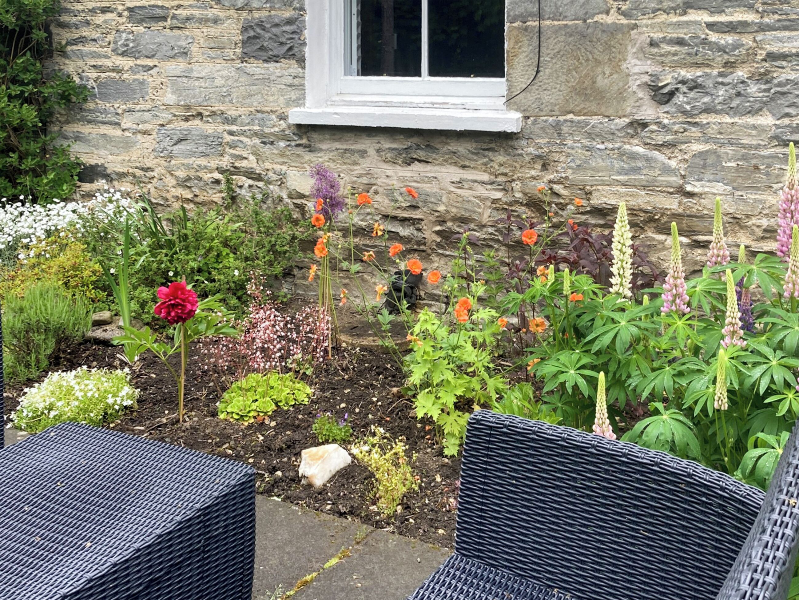 Jardín con muro de piedra, diversas plantas y flores, una silla de mimbre y una ventana.