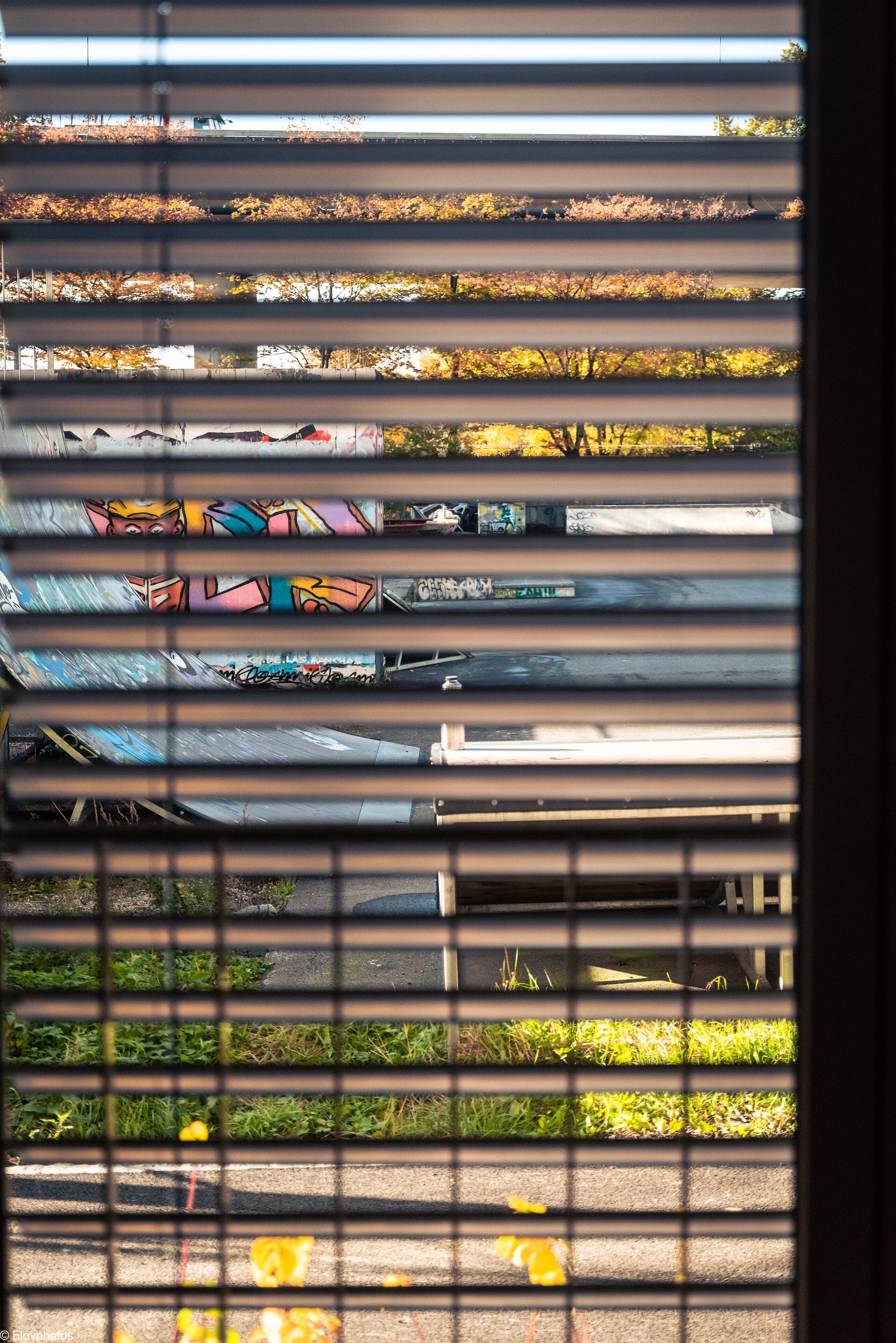 A view through a window with horizontal blinds, featuring a street scene with graffiti on a wall and a grassy area below.