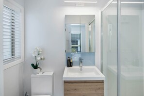 Douche, sèche-cheveux, shampoing