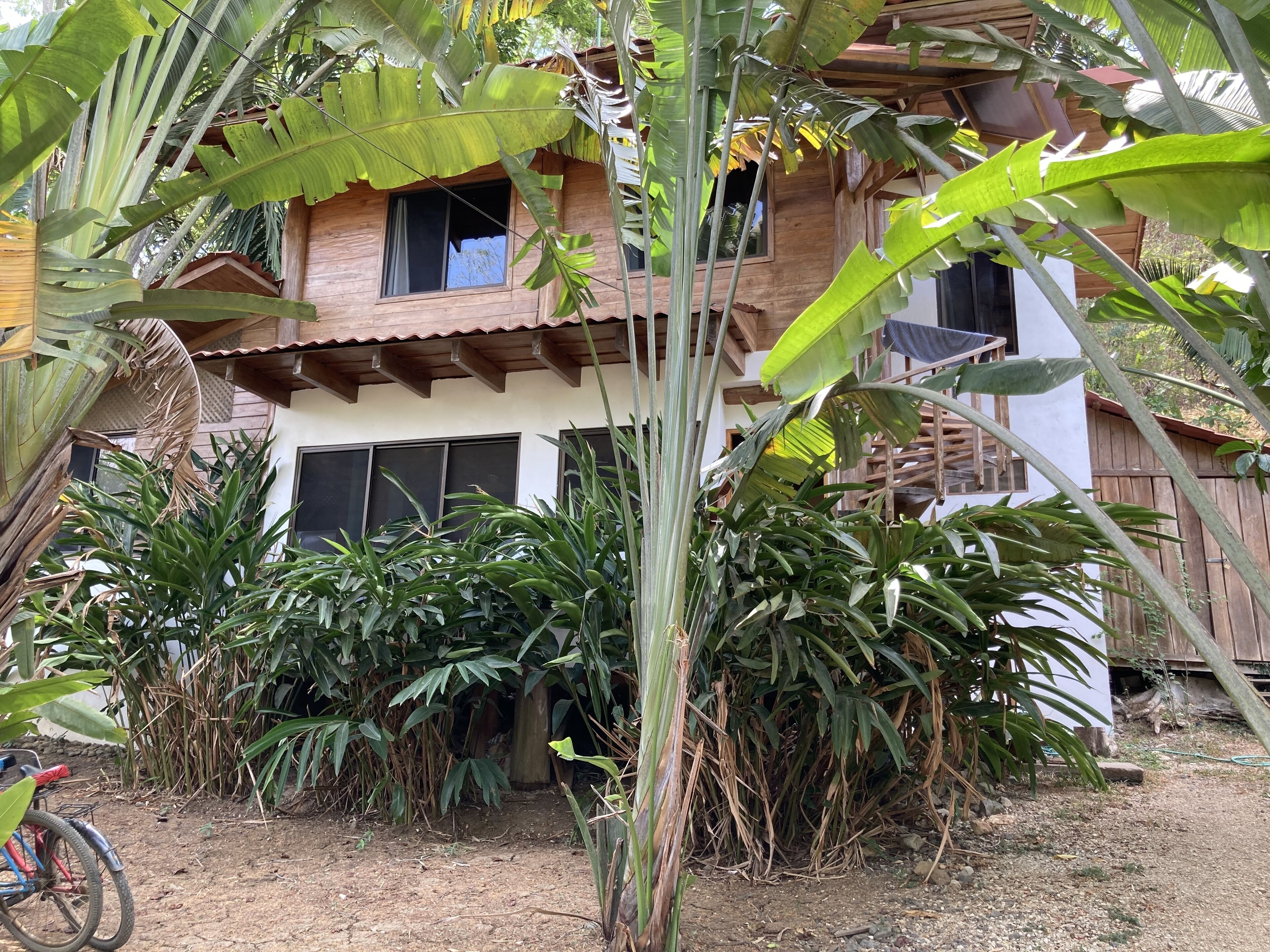 Jungle Tree House Drive to Beaches