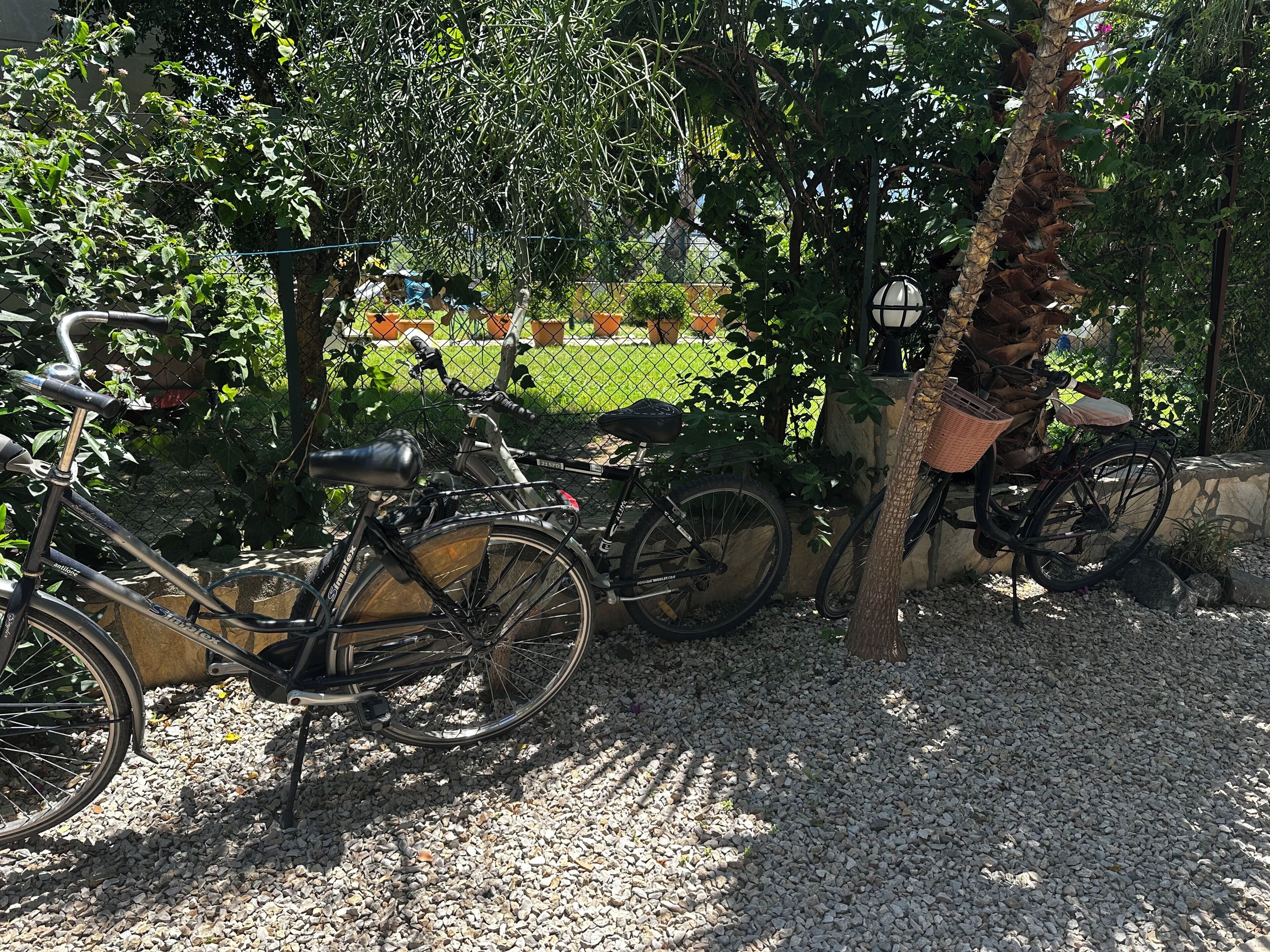 Fahrräder stehen in der Nähe eines Baumes und einer Lampe in einem Garten.