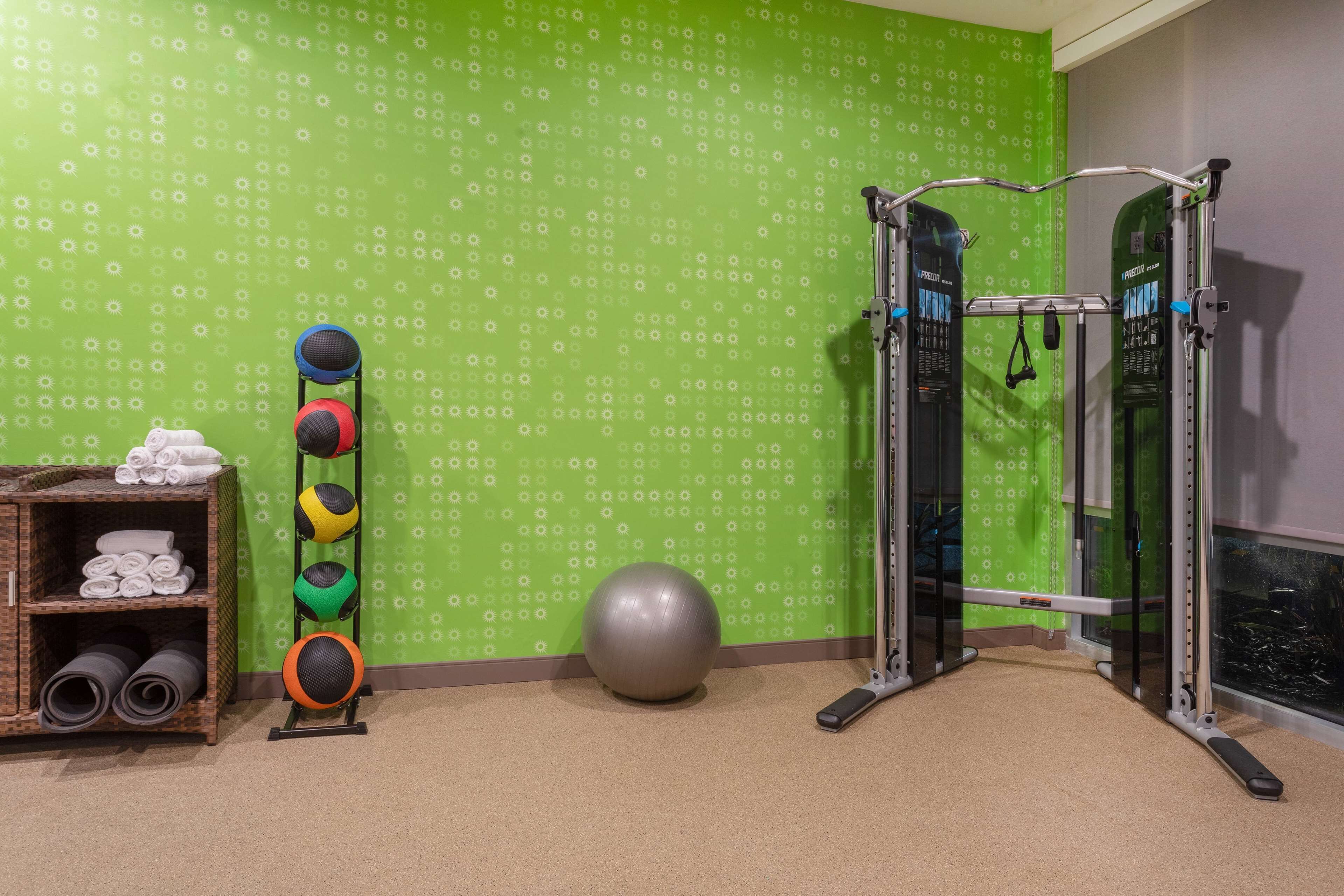 Ett gym med träningsutrustning, en vägg med ett grönt mönster och en hylla med hoprullade träningsmattor.