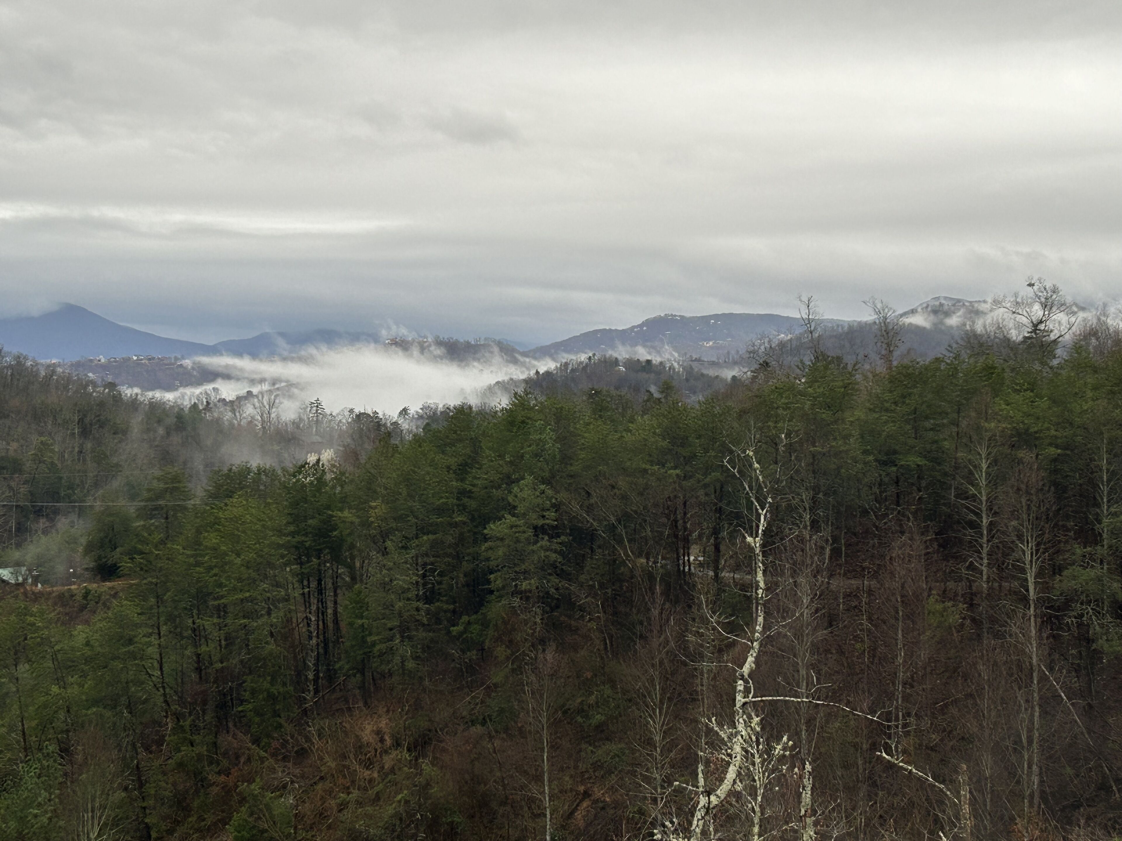 A forested landscape with mountains in the distance and a cloudy sky.