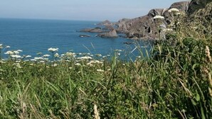 A coastal landscape with rocky cliffs, a clear blue sky, and white flowers in the foreground. - stayinhartland @ Quincecote shepherds hut (Hartland)