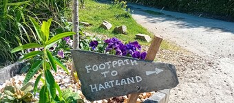 stayinhartland @ Quincecote shepherds hut