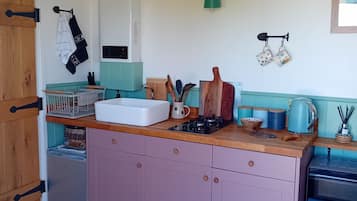 Fridge, microwave, stovetop, electric kettle