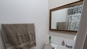 A bathroom with a toilet, sink, and mirror. There is a towel hanging on the wall and a green rug on the floor. - Your Quiet Place with private entrance (Brandon)
