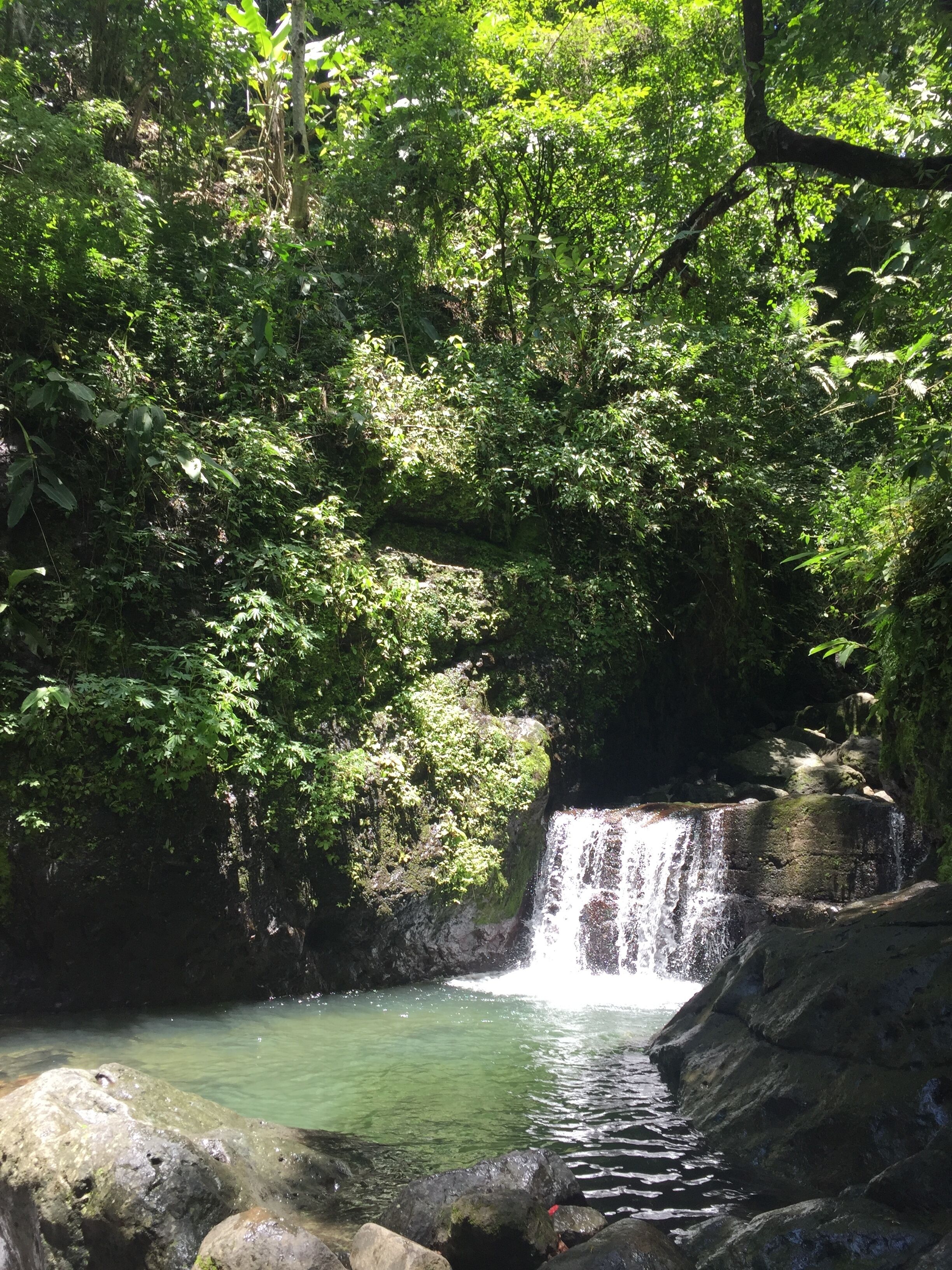 Foto - Casa Swell Coronado A unique blend of luxury and nature in the hearth of Coronado