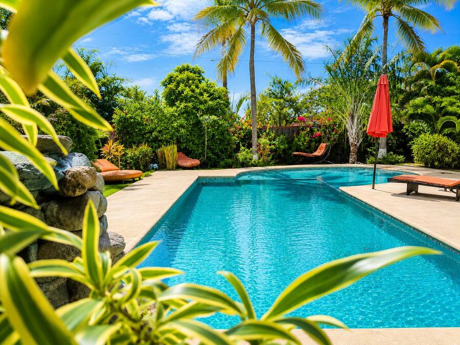 Comfort Studio Suite, Pool View | View from room