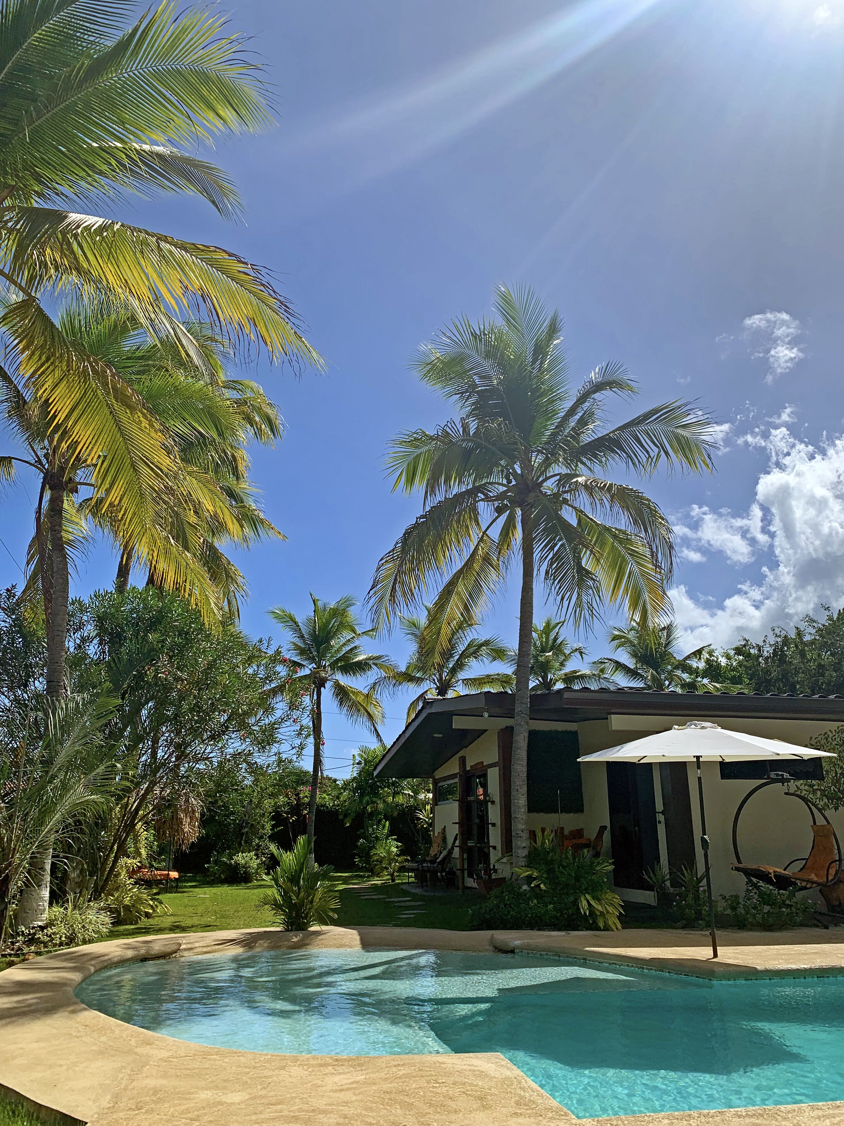 A swimming pool surrounded by palm trees and a house with a covered patio.