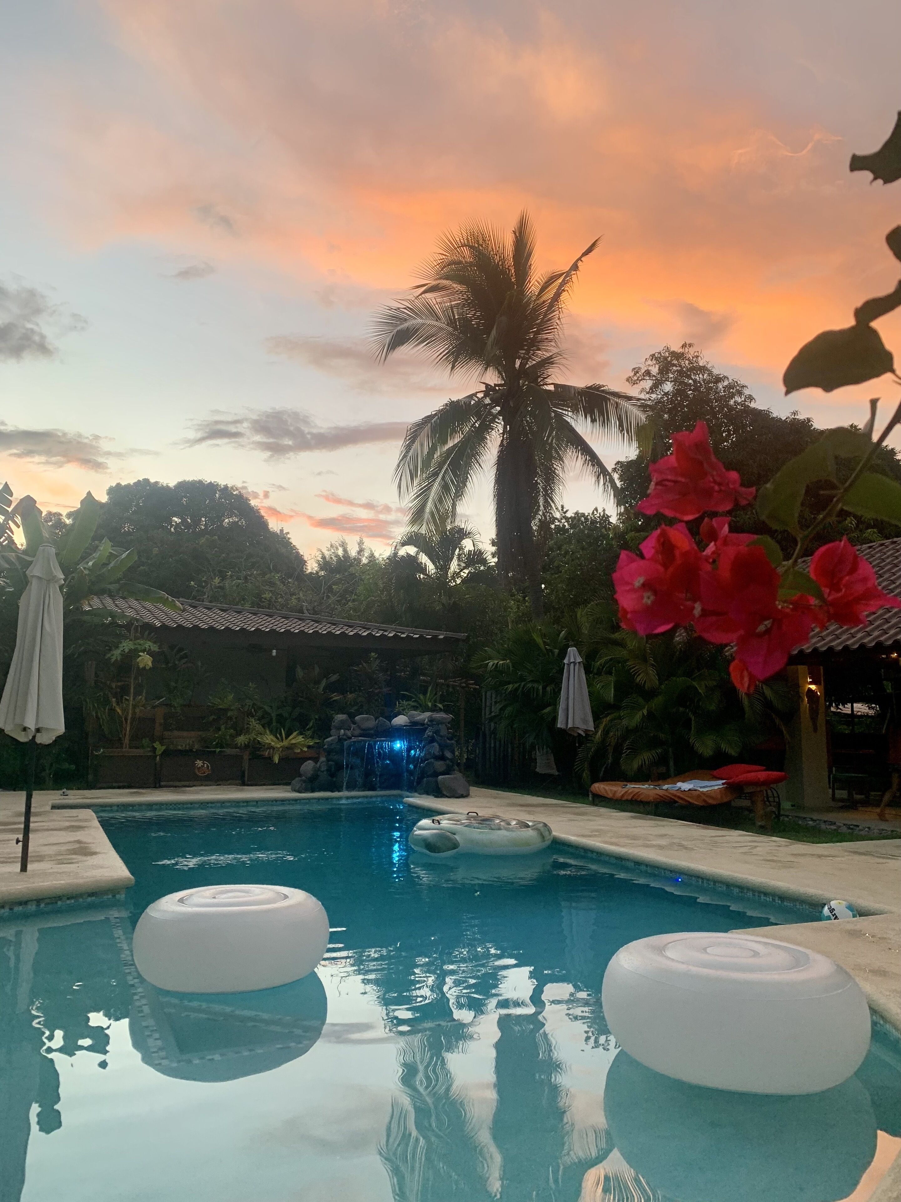 Una piscina con dos anillos flotantes, una cascada y una palmera al fondo.