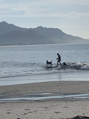 Surfing/boogie boarding