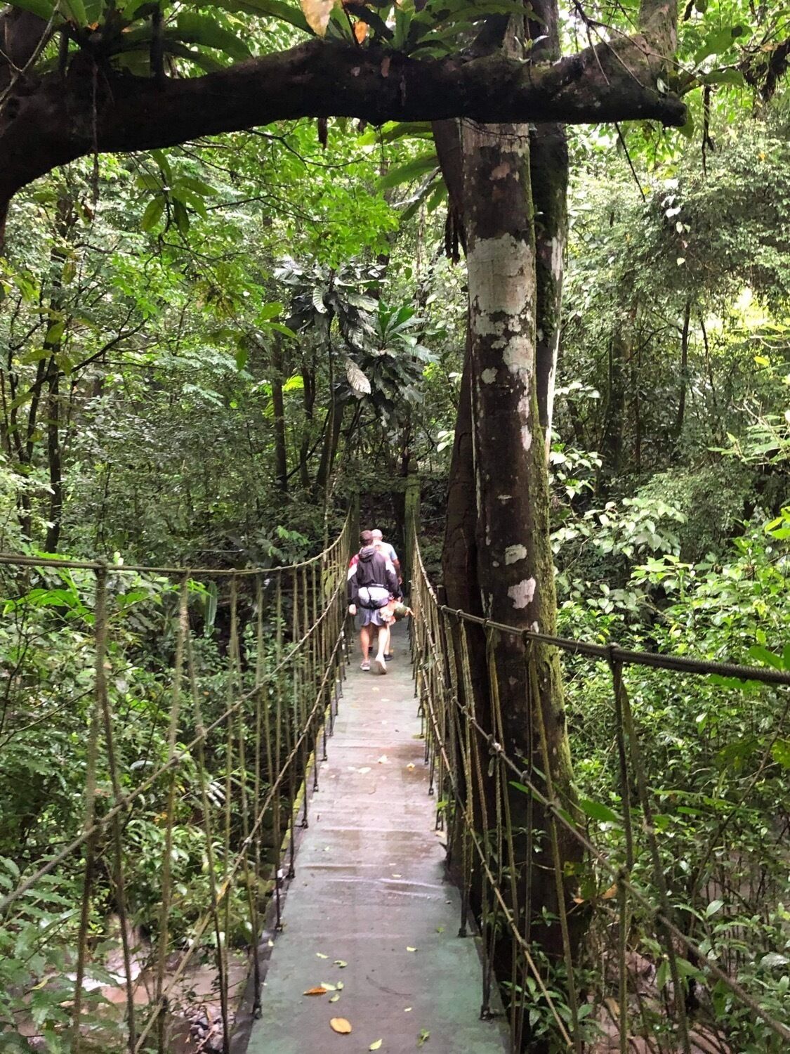 Foto - Casa Swell Coronado A unique blend of luxury and nature in the hearth of Coronado