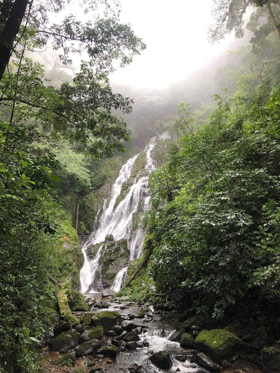 Foto - Casa Swell Coronado A unique blend of luxury and nature in the hearth of Coronado