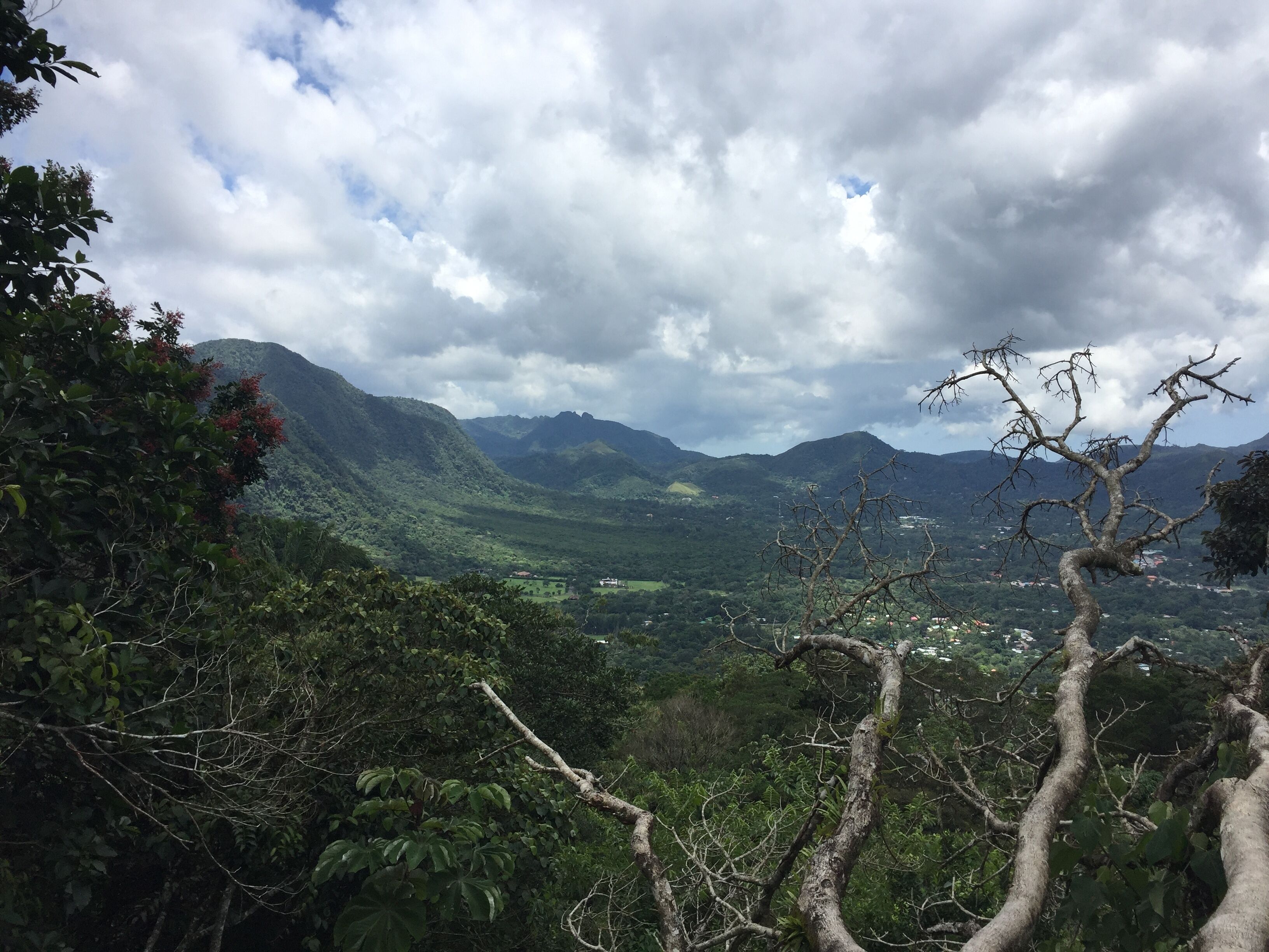 Foto - Casa Swell Coronado A unique blend of luxury and nature in the hearth of Coronado