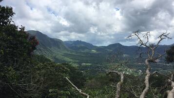 A mountainous landscape with dense greenery and a clear sky.