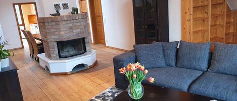 TV, fireplace, books