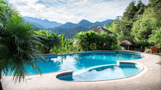 Una piscina de borde curvo, rodeada de palmeras y una cabaña con techo de paja.