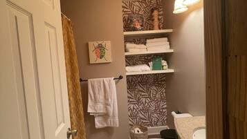 Shower, towels, toilet paper