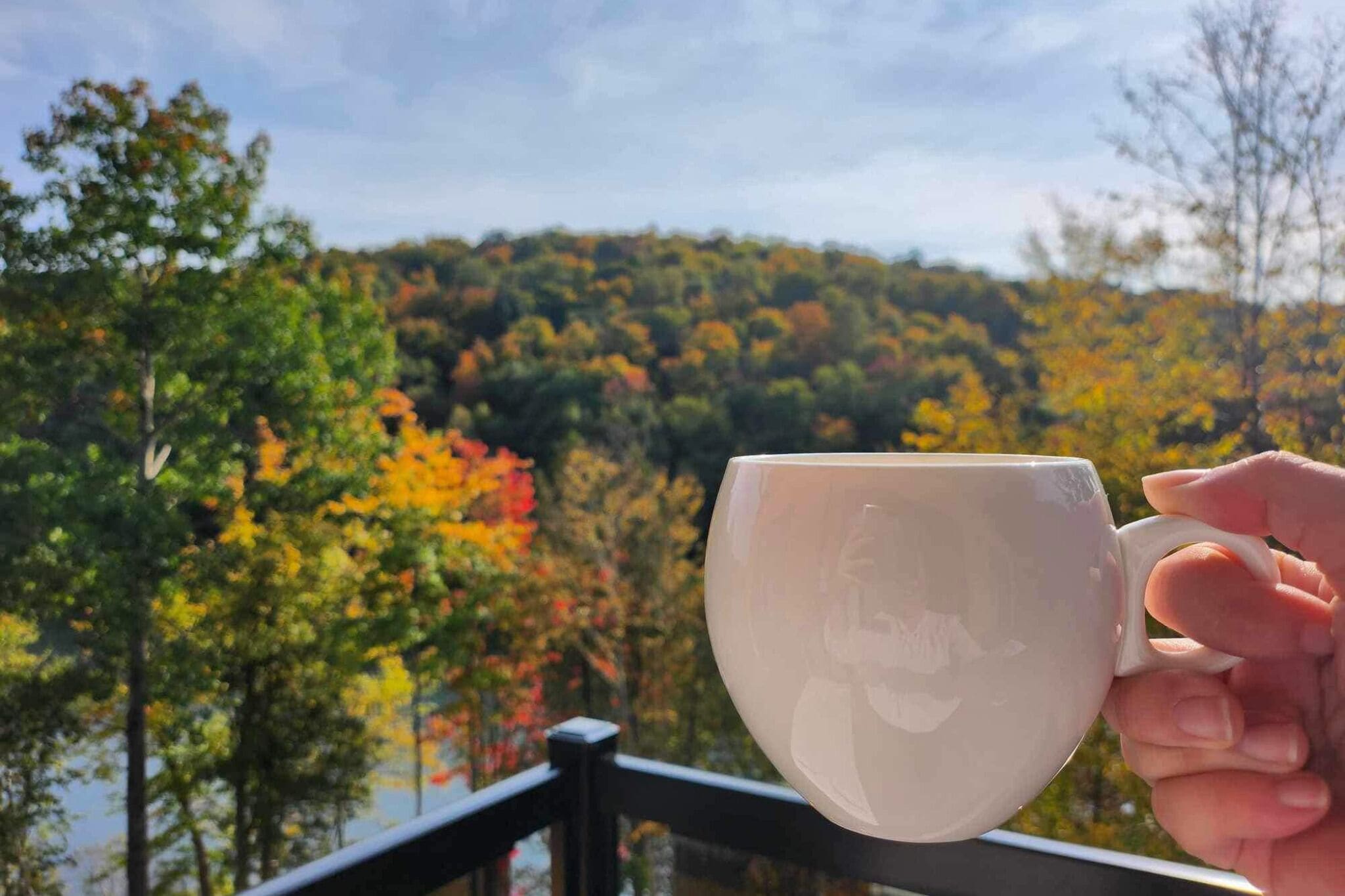 A hand holding a white mug with a landscape view of autumn-colored trees in the background.