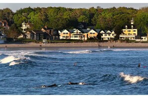 Sun loungers - Coastal Elegance in Historic Dock Sq Breath Again (Kennebunk)