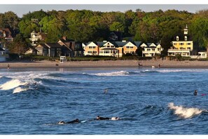 Une zone côtière avec des maisons le long de la plage et des surfeurs dans l’eau.