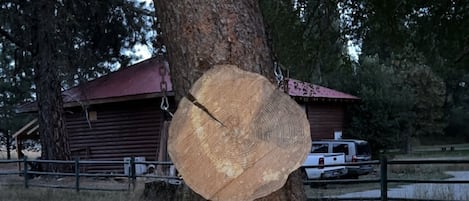 Enceinte de l’hébergement