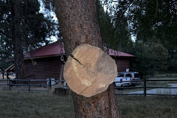 Parco della struttura