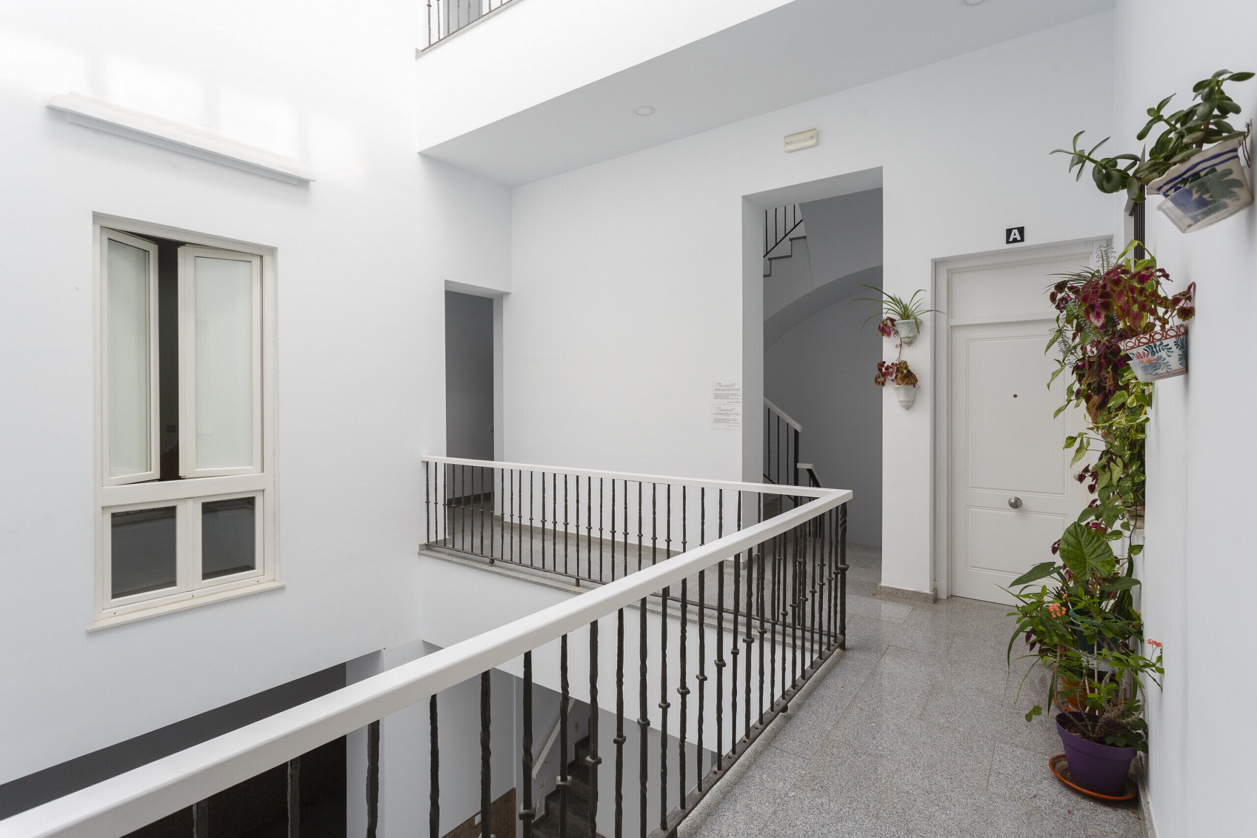 Un couloir intérieur propre et blanc, avec un escalier, une porte portant l’inscription « A » et des plantes en pot.