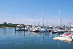 Ein Yachthafen mit mehreren angedockten Booten, ruhigem Wasser und blauem Himmel.